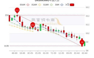 关于石大胜华股票的信息