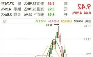 苏盐井神股票，苏盐井神股票介绍