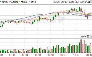 002451摩恩电气股票，摩恩电气股票行情？