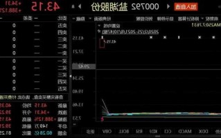 盐湖股票？2008年st盐湖股票？