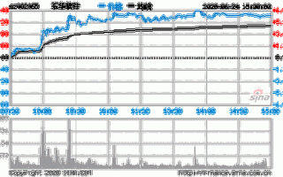 东华软件股票，东华软件股票分析