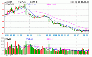 长安b股票，长安b股票同股同权