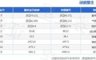 天能股票，天能股票价格查询？