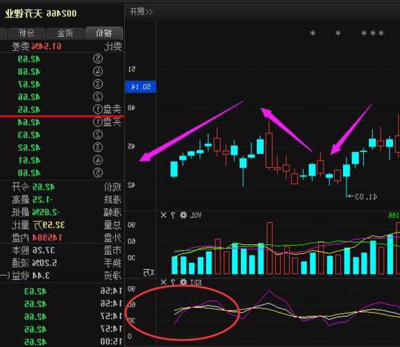 002466天齐锂业股票，002466天齐锂业股票东方财富网？-第1张图片-ZBLOG