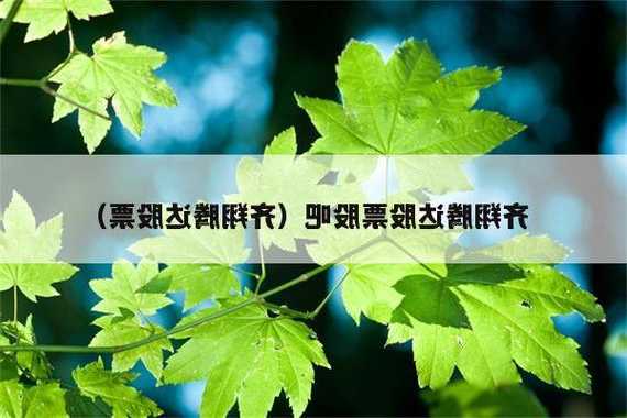 齐翔腾达股票？齐翔腾达股票股吧？-第3张图片-ZBLOG