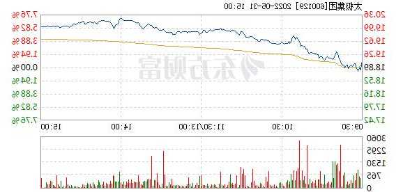 太极股份股票股吧，太极股票600129？-第2张图片-ZBLOG