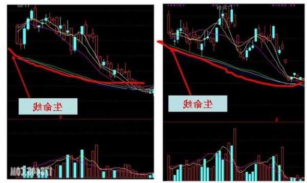 股票生命线，股票生命线是指什么线？-第2张图片-ZBLOG