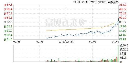 000032股票，000032股票2022年报-第3张图片-ZBLOG