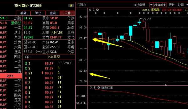 600276股票？600276股票股票？-第1张图片-ZBLOG