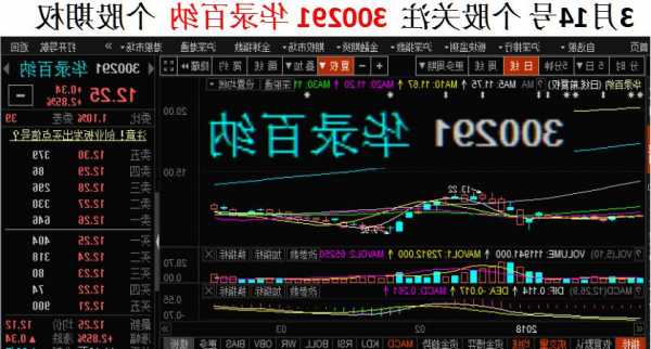 华录百纳股票？华录百纳股票行情？-第1张图片-ZBLOG