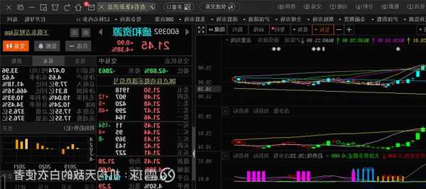 盛和资源股票股吧？盛和资源600392股吧？-第2张图片-ZBLOG