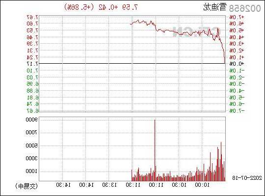 002658雪迪龙股票，雪迪龙股票 002658？-第1张图片-ZBLOG