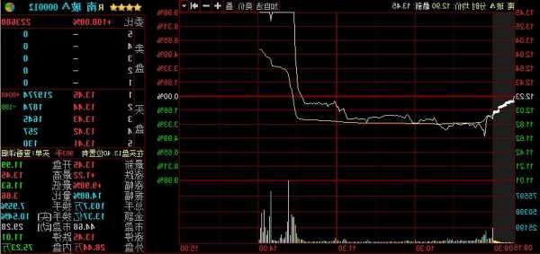 南玻股票，南玻股票历史记录-第3张图片-ZBLOG