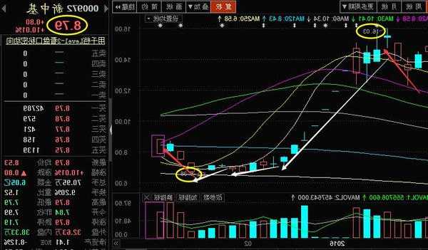 新中基股票，新中基股票最新消息！-第3张图片-ZBLOG