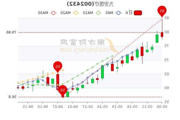 九安医疗股票，九安医疗股票历史最高价？-第2张图片-ZBLOG