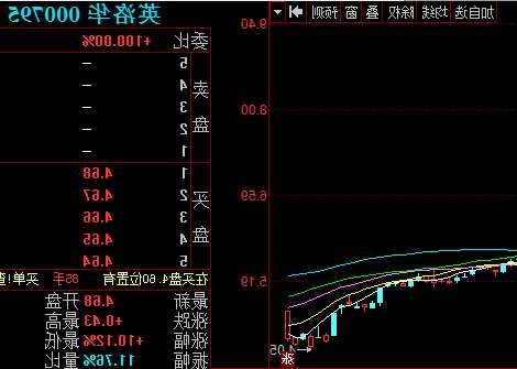 000795英洛华股票，股票000795 英洛华？-第1张图片-ZBLOG