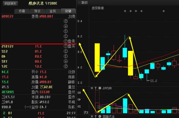 300217东方电热股票？300217东方电热股票股吧雪球？-第2张图片-ZBLOG