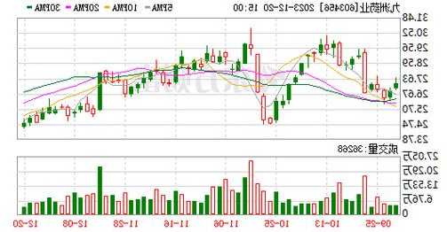 九洲药业股票行情？九洲药业的走势？-第1张图片-ZBLOG