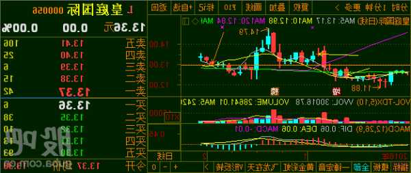 皇庭国际股票股吧，000056皇庭国际股票股吧！-第3张图片-ZBLOG