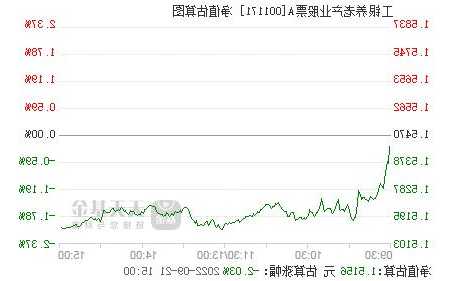 工银养老产业股票001171，工银养老产业股票001171上证！-第1张图片-ZBLOG