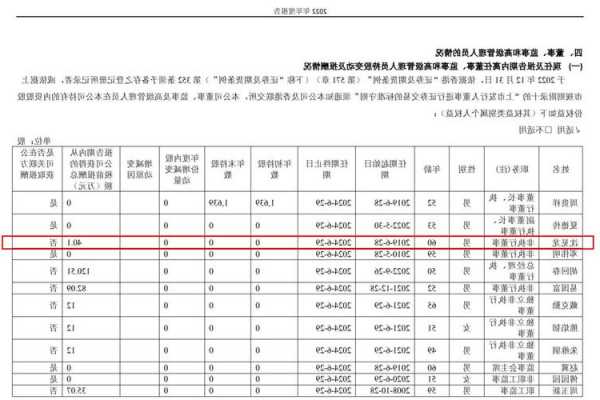 熊猫股份股票，熊猫股份股票2022年年度审计报告什么时候出来?-第2张图片-ZBLOG