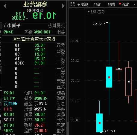 赛隆药业股票，赛隆药业股票行情！-第2张图片-ZBLOG