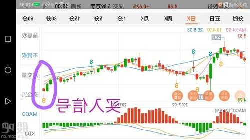 浔兴股份股票，002752昇兴股份-第3张图片-ZBLOG