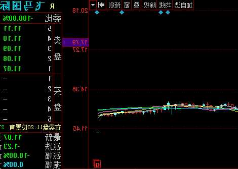 飞马国际股票，飞马国际股票分析！-第3张图片-ZBLOG