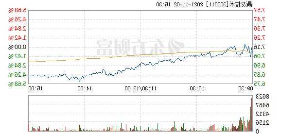 鼎汉技术股票？北京鼎汉技术股票？-第1张图片-ZBLOG