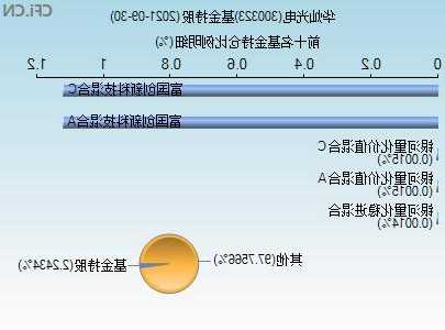 华灿光电股票，300323华灿光电股票-第3张图片-ZBLOG