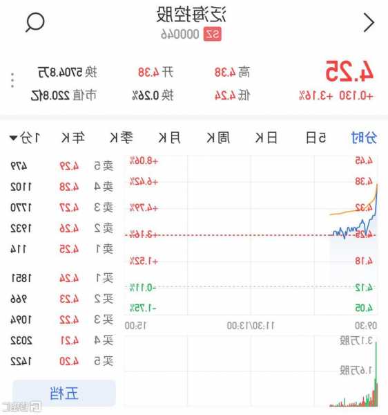 000046泛海控股股票？000046泛海控股股票是龙头企业吗？-第1张图片-ZBLOG