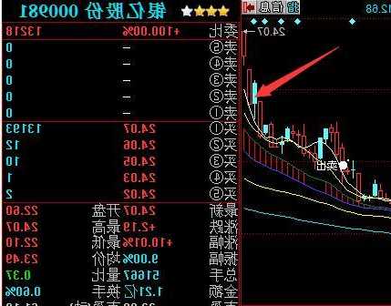 升兴股份股票？升兴股份股票股吧最新消息？-第3张图片-ZBLOG