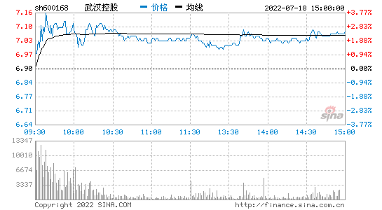 武汉控股股票的简单介绍-第2张图片-ZBLOG