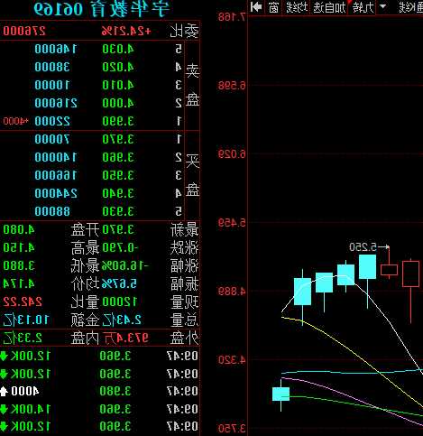 宇华教育股票，宇华教育股票怎么了-第1张图片-ZBLOG