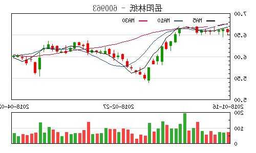 岳阳林纸股票的简单介绍-第2张图片-ZBLOG