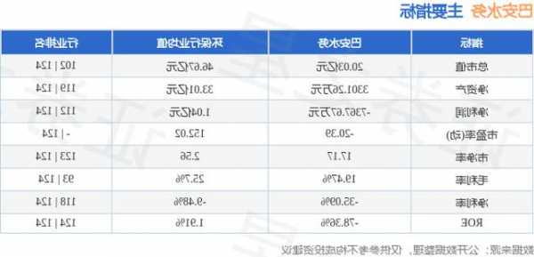 巴安水务股票，巴安水务股票代码？-第3张图片-ZBLOG