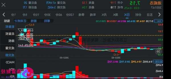 300132股票，30013股价！-第2张图片-ZBLOG