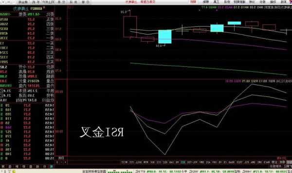 股票rsi是什么意思，股票rsi1是什么意思！-第3张图片-ZBLOG