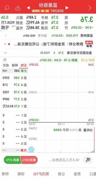 蓝盾股份股票？蓝盾股份股票拍卖最新消息？-第3张图片-ZBLOG