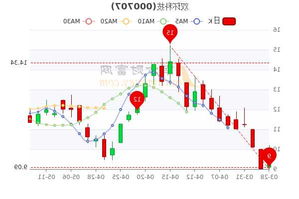 双环科技股票，双环科技股票最新动态-第2张图片-ZBLOG