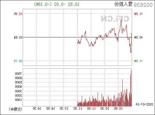雪人股份股票行情，雪人股份股票行情分析！-第3张图片-ZBLOG