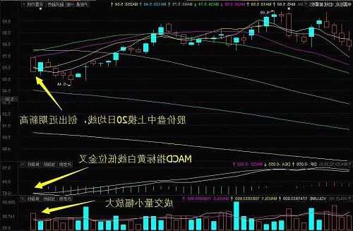 中国石化股票走势分析，中国石化股票走势分析最新-第3张图片-ZBLOG