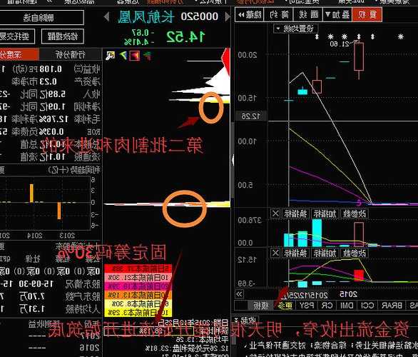 凤凰股票？长航凤凰股票？-第2张图片-ZBLOG