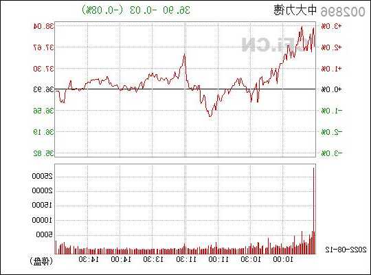 中大力德股票，中大力德股票行情？-第3张图片-ZBLOG