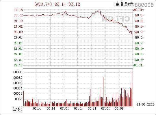 600988股票，600983股票-第1张图片-ZBLOG