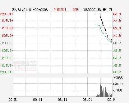 盐田港股票，盐田港股票评价！-第3张图片-ZBLOG