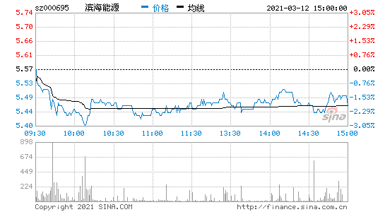 滨海能源股票，滨海能源股票最新消息-第2张图片-ZBLOG