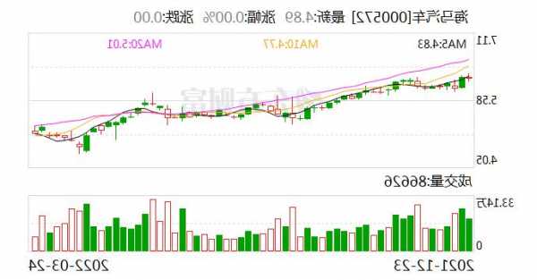 000572海马汽车股票，000572海马汽车股票股吧-第1张图片-ZBLOG