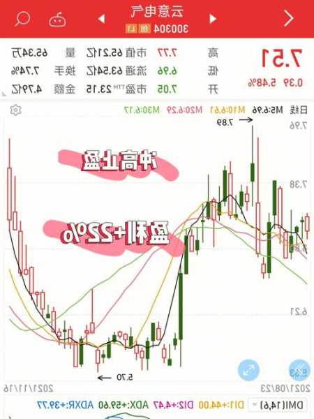 云意电气股票？云意电气股票最新公告？-第2张图片-ZBLOG