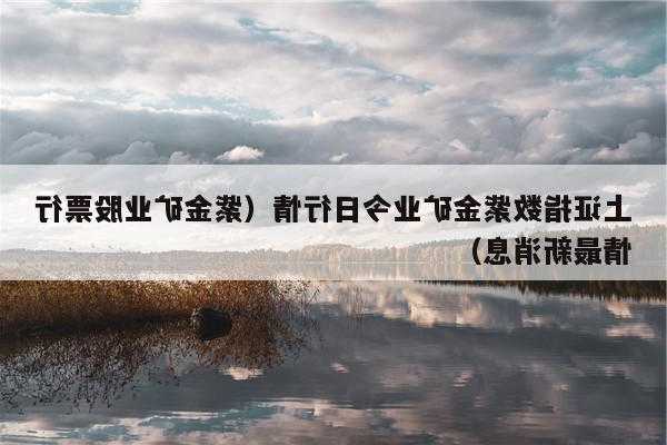 紫金矿业股票前景，紫金矿业股票可以长期持有吗-第3张图片-ZBLOG